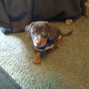 Meet your Posher, Mary